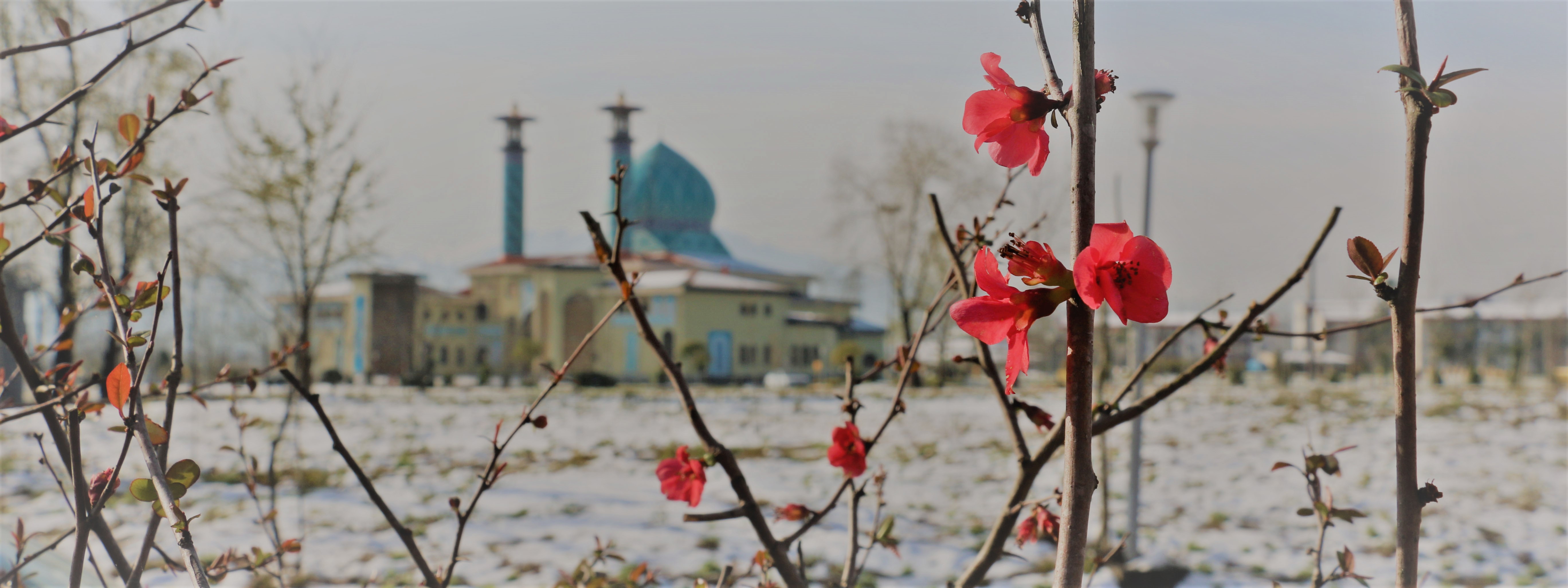 تصویر کوچک